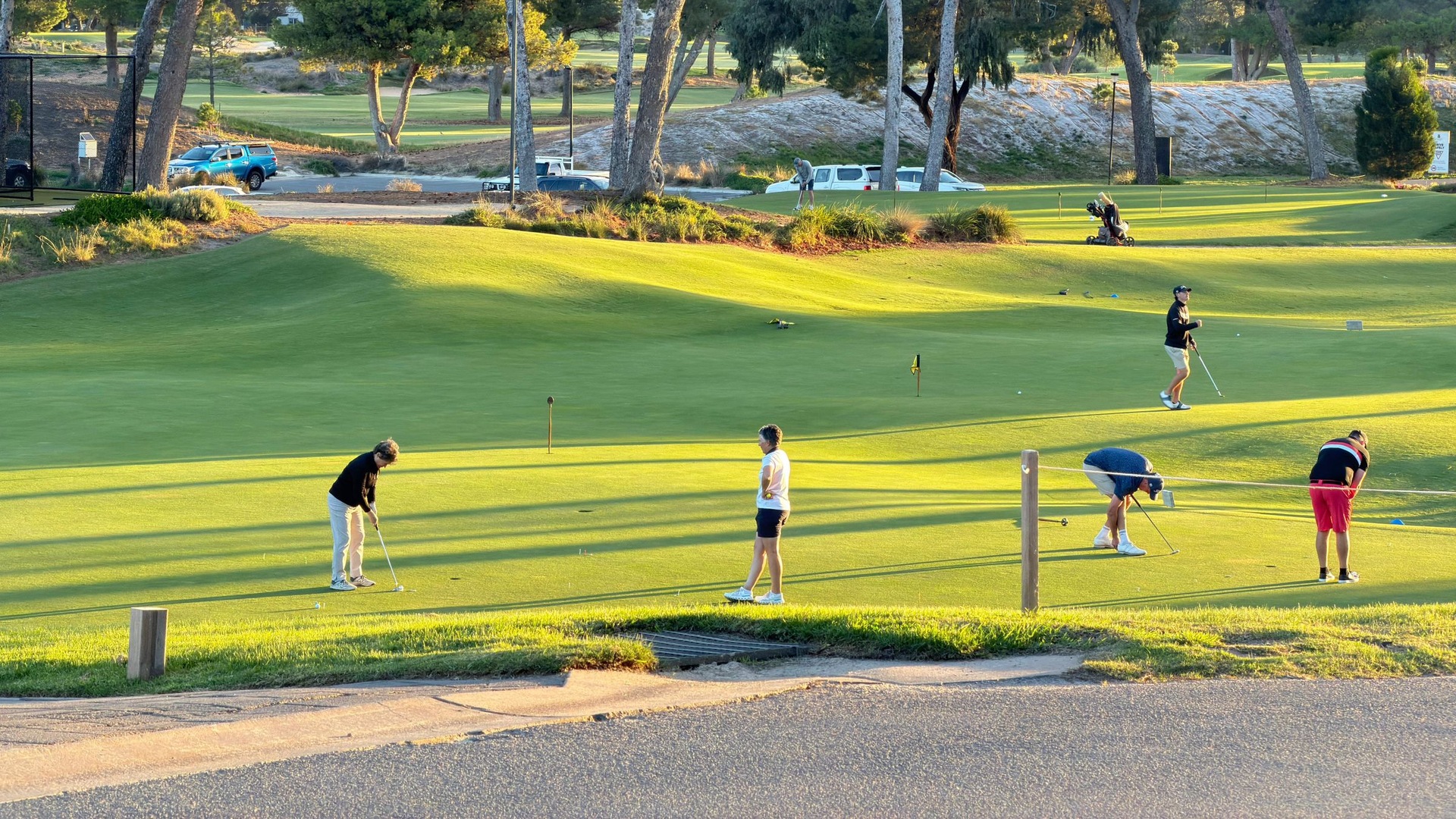 Golfers practice putting across a sunlit green bordered by trees.